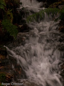 Stream