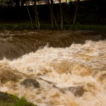 River Tavy