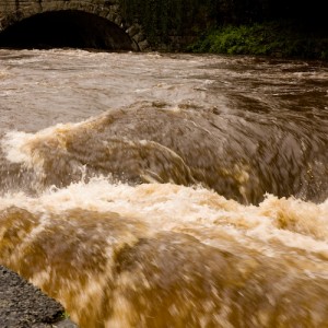 River Tavy