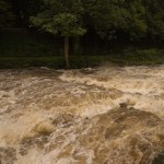 River Tavy