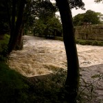 River Tavy