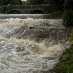 RiverTavy
