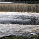 RiverTavy