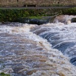 River Tavy