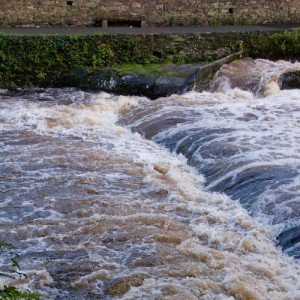 River Tavy