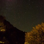 Stars
