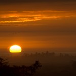 _D242640