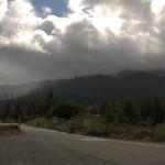 _D242711