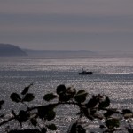 Lost Coast