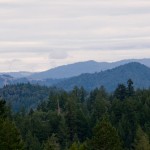 Hills