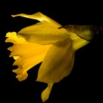 _D245379
