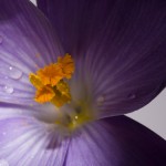 _D245803