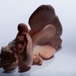 Fungi