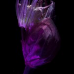 _D247639