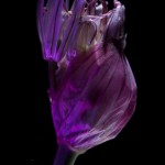 _D247644
