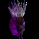 _D247649