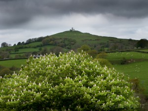 IMG_1748