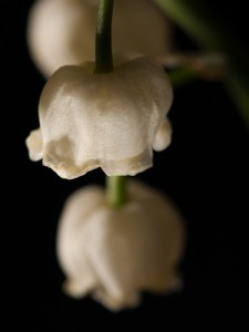 _D247798