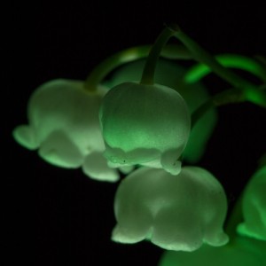 _D247828