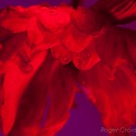 _D248717