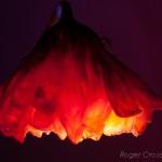 _D248740