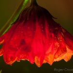 _D248759