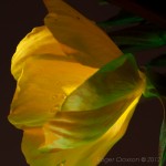 _D249097