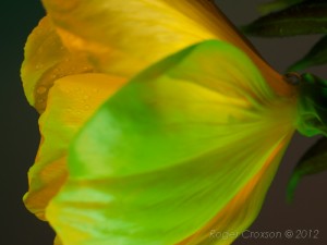 _D249129