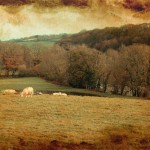 IMG_0173