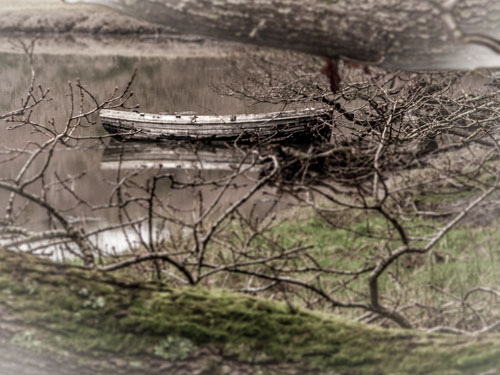 The Tamar River