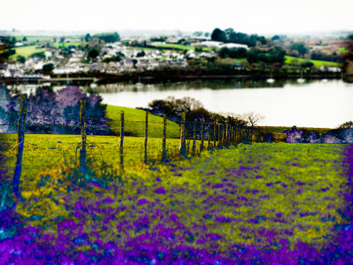 The Tamar River