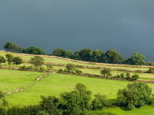 Storm Brewing