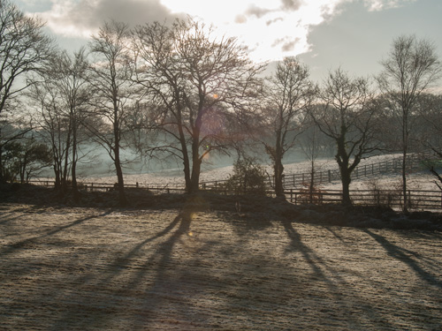 Frost