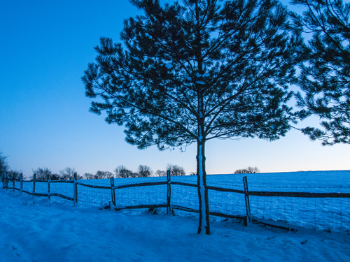 Snow