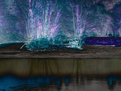 Tamar Weir III