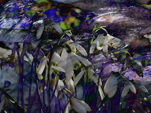 snowdrops and water 3